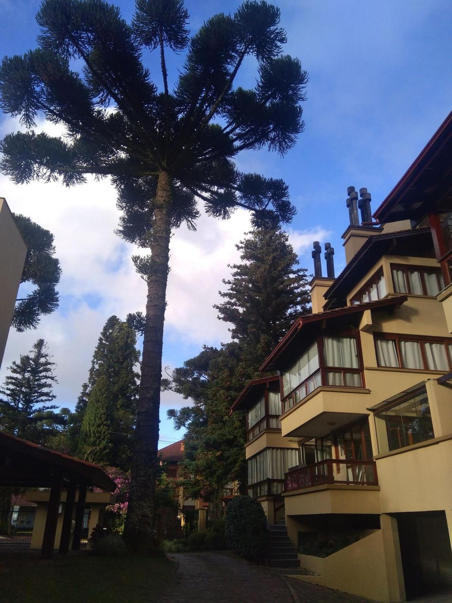 Estacao Das Hortensias, Seu Aconchego Em Gramado Apartment ภายนอก รูปภาพ