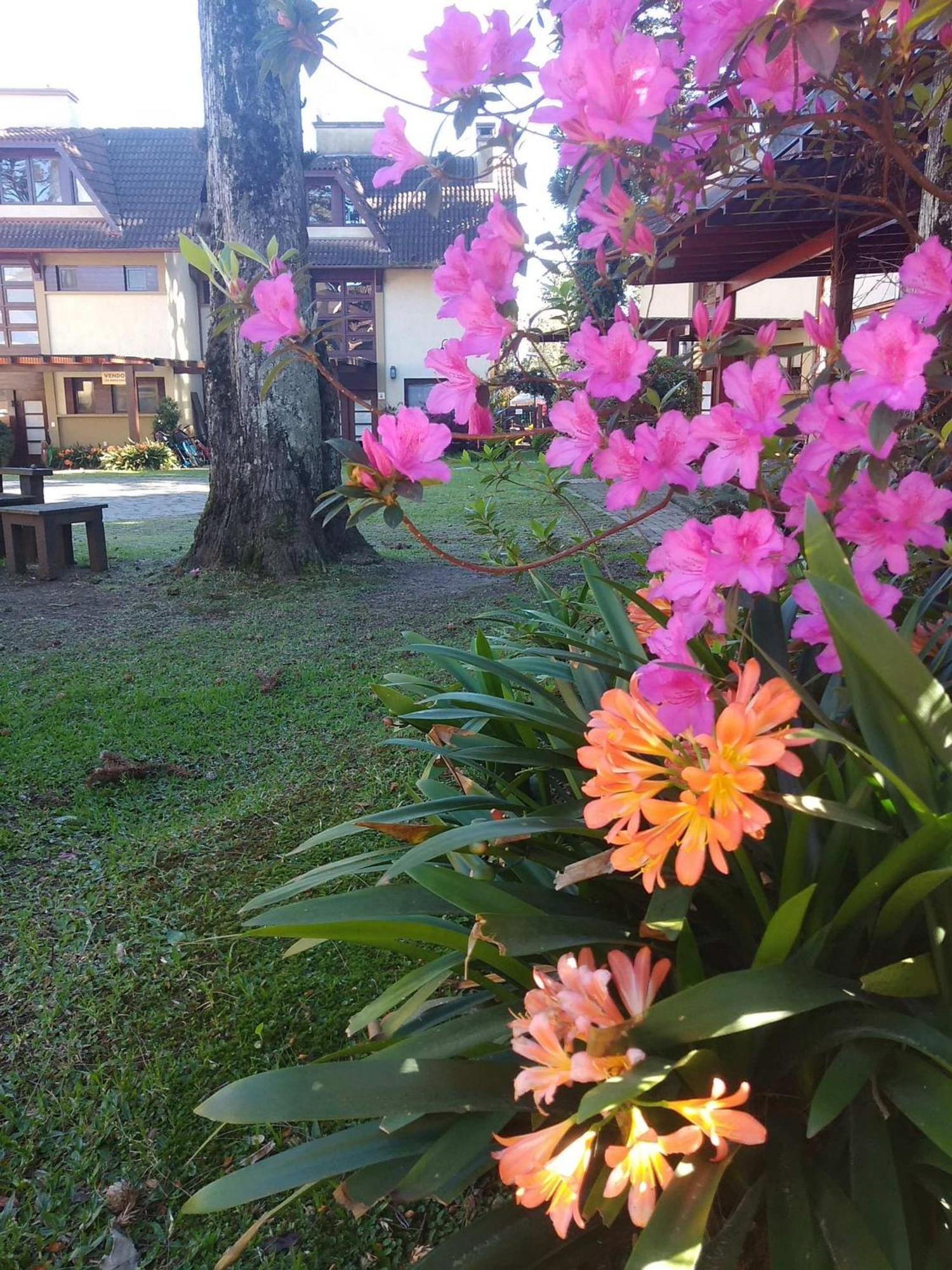 Estacao Das Hortensias, Seu Aconchego Em Gramado Apartment ภายนอก รูปภาพ